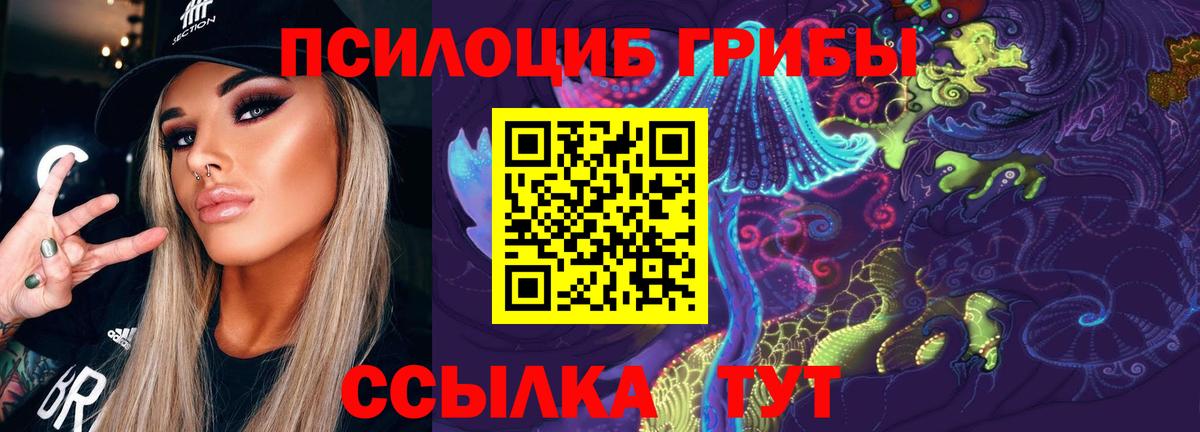 Галлюциногенные грибы Magic Shrooms  Псилоцибиновые грибы GOLDEN TEACHER  Новочеркасск  Вход с VPN 
